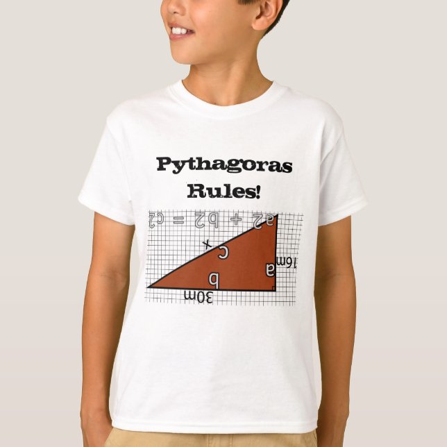 PYTHAGORAS RULES! T-Shirt (Front)