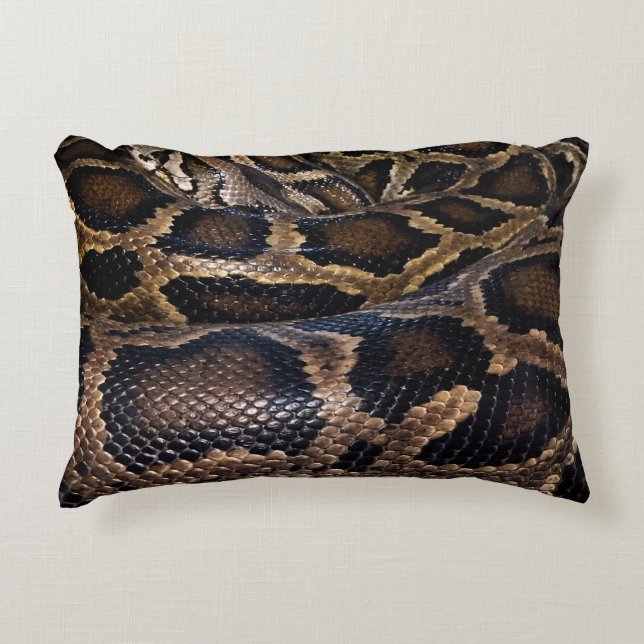Python Accent Pillow (Front)