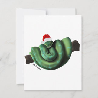 Python - holiday card