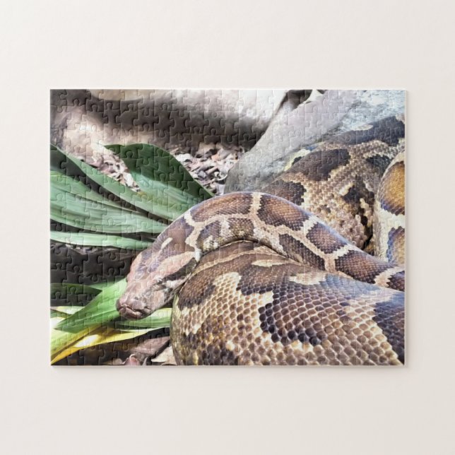 Python Jigsaw Puzzle (Horizontal)