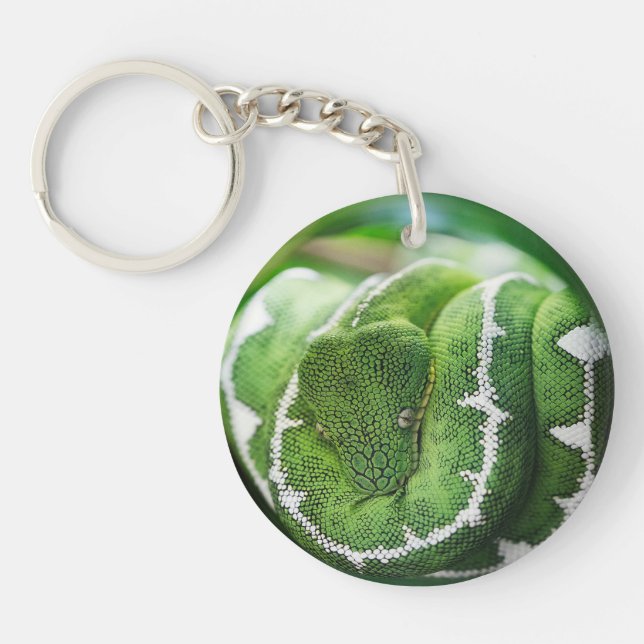 Python Keychain (Front)