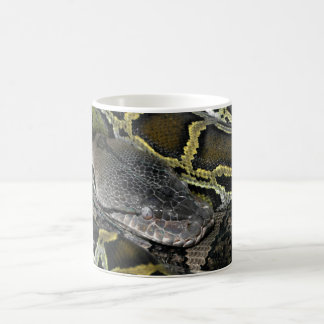 Python molurus bivittatus coffee mug