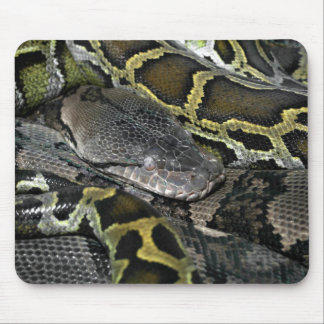 Python molurus bivittatus mouse pad
