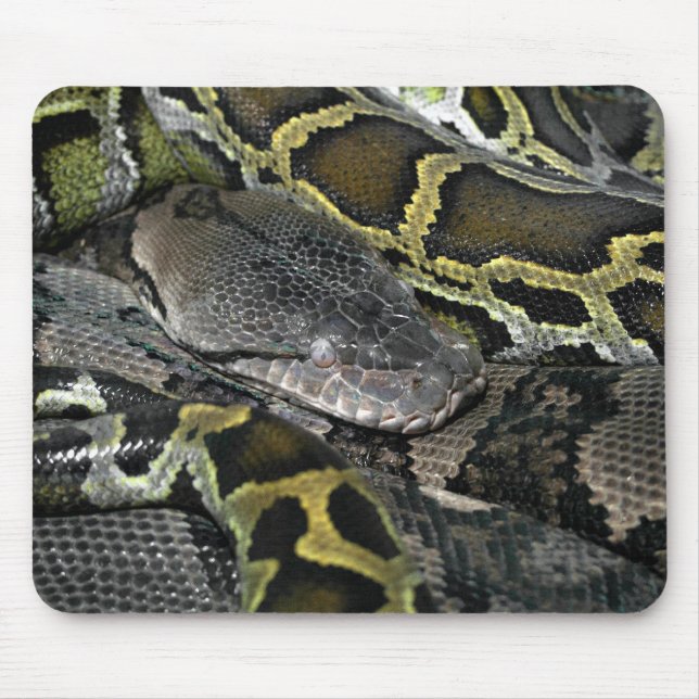 Python molurus bivittatus mouse pad (Front)
