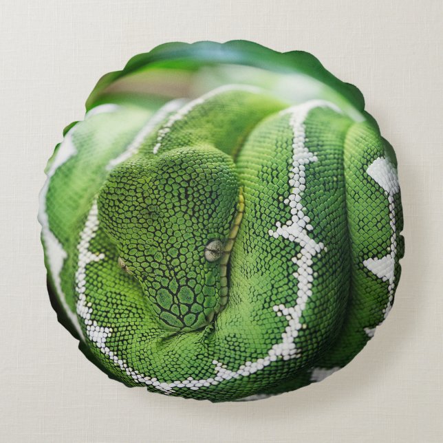 Python Round Pillow (Front)