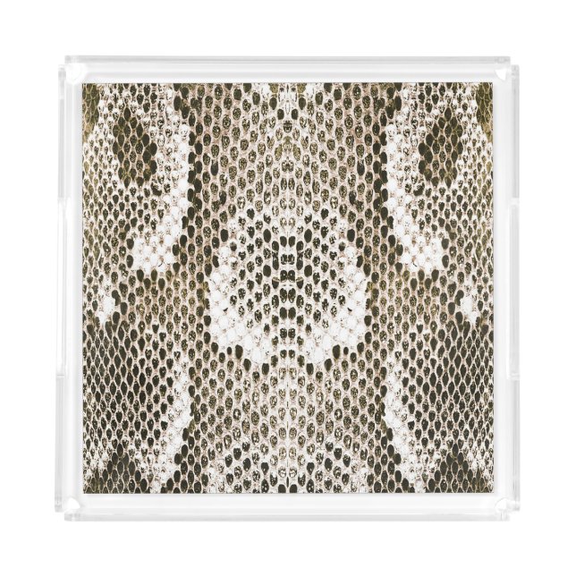Python Skin: Animal Pattern Design Acrylic Tray (Front)