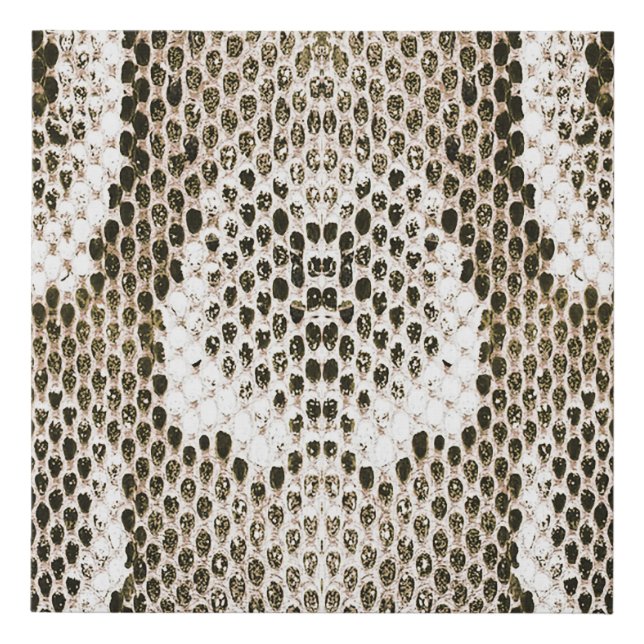 Python Skin: Animal Pattern Design Faux Canvas Print (Front)