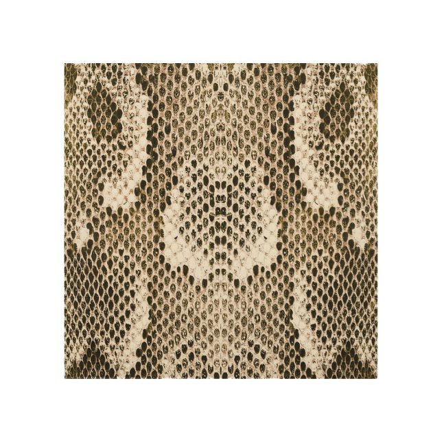 Python Skin: Animal Pattern Design Wood Wall Art (Front)