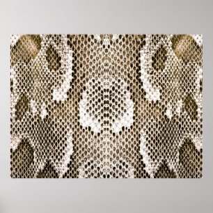 python skin, snake pattern, animal skin pattern de poster