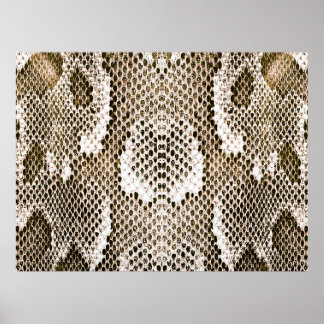 python skin, snake pattern, animal skin pattern de poster