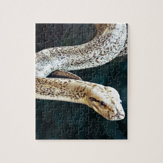 Python Snake Jigsaw Puzzle (Vertical)