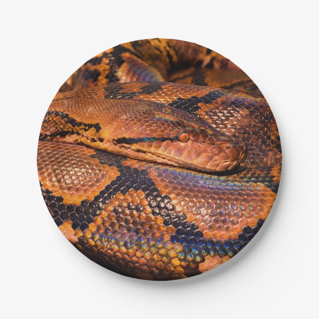 Python Snake Paper Plates (Front)
