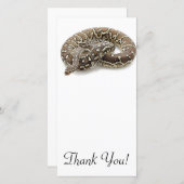 Python Snake Reptile Thank You Card | Zazzle