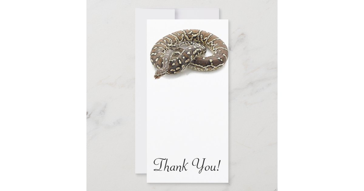 Python Snake Reptile Thank You Card | Zazzle