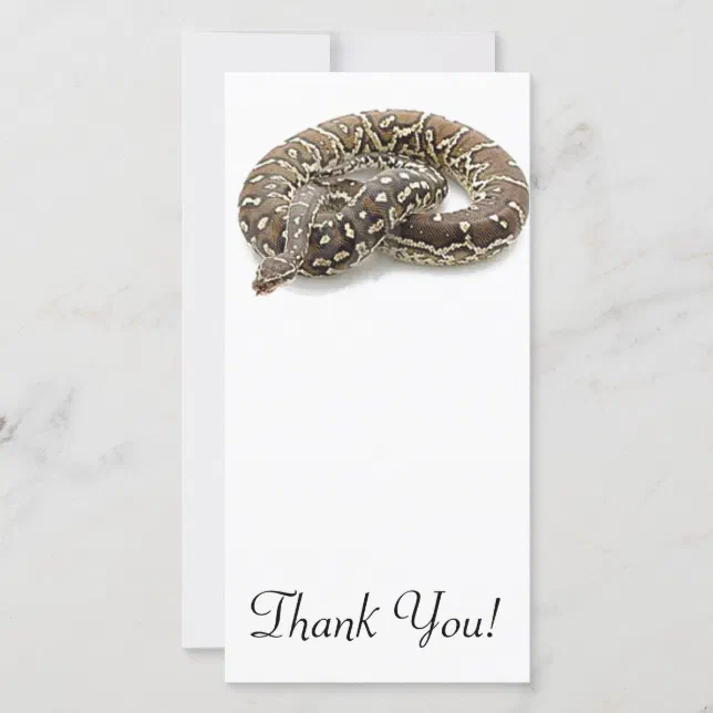 Python Snake Reptile Thank You Card | Zazzle