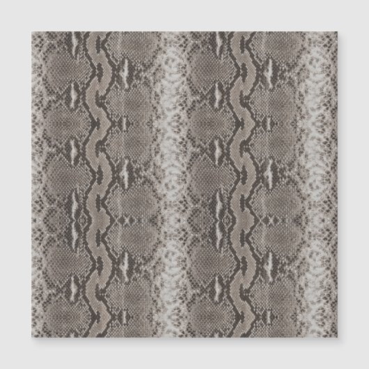 Python Snake Skin Animal Print (Front)