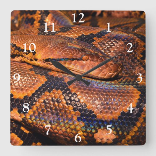 Python Snake Square Wall Clock