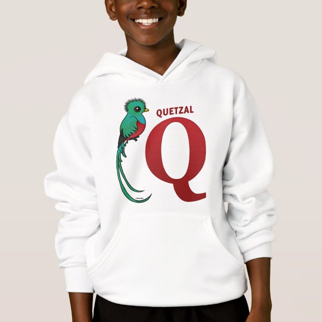 Q for Quetzal Hoodie (Front)