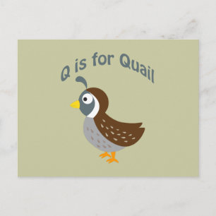 Q is for Quail Postcard