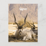 Qatar Postcard
