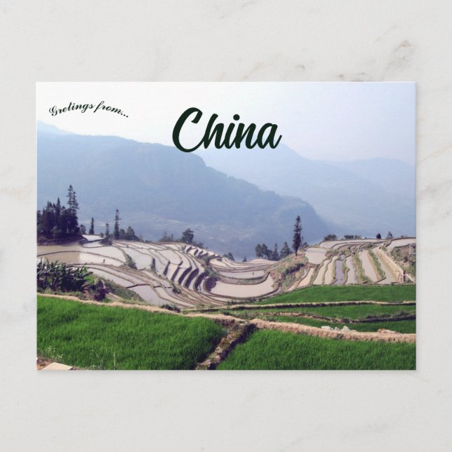 Qingkou Rice Terraces in Yunnan China Postcard (Front)