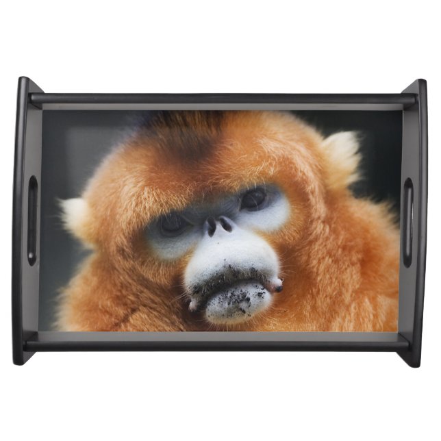 Qinling Mountains Serving Tray (Front)
