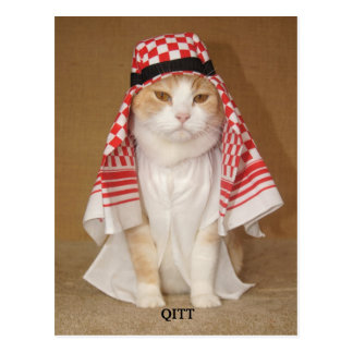 Arabic Cat Gifts on Zazzle