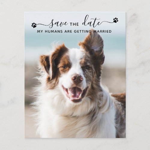 QR Code Dog Wedding Pet Photo Save The Date Cards