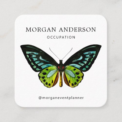 QR Code Minimal Butterfly  Square Business Card