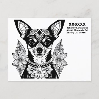 Qsl Card With The Cutest Chihuahua by hamgear at Zazzle
