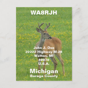 QSL PCs HAM Radio Op spring buck whitetail deer Postcard