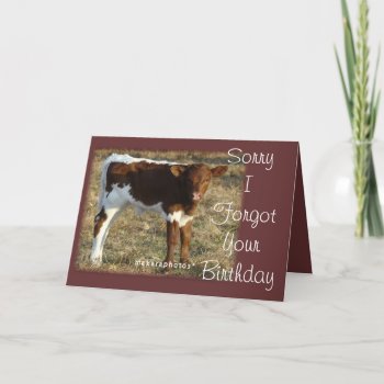 Qu9258bday2-customize Card by MakaraPhotos at Zazzle