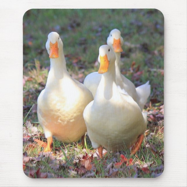 Quack attack mouse pad (Front)