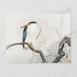 Quack on Erratic Branch Painting by Ohara Koson Postcard