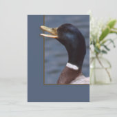 Quack up (Standing Front)