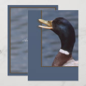 Quack up (Front/Back)