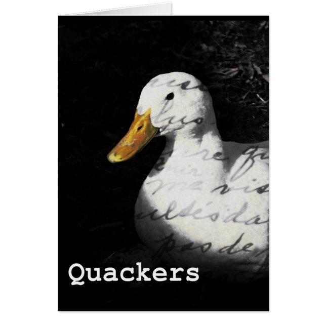 Quackers Cards (Front)