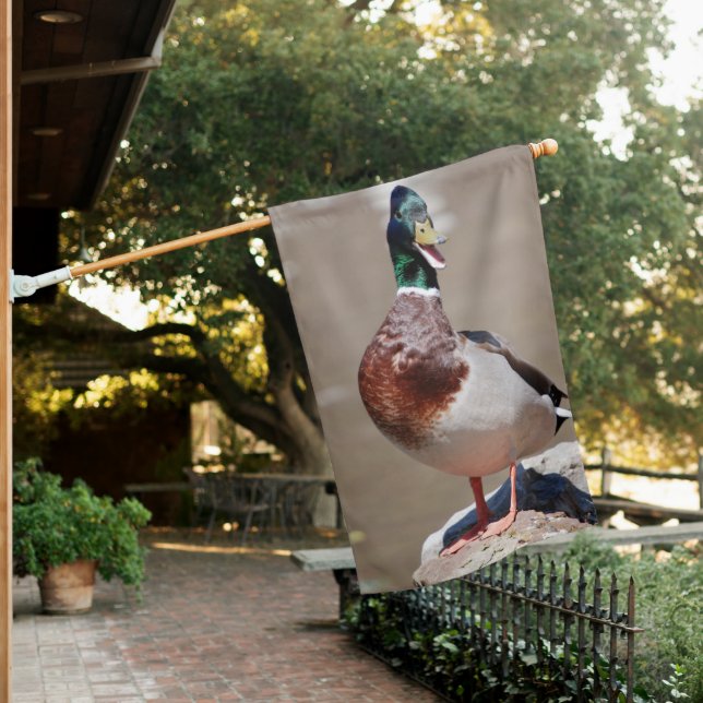 Quacking Mallard Duck House Flag (In SItu)