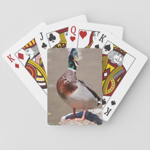 Quacking Mallard Duck Poker Cards