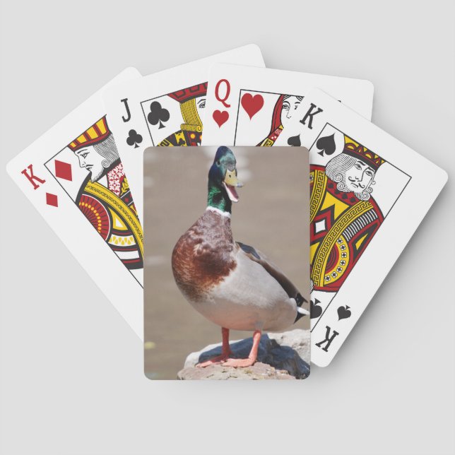 Quacking Mallard Duck Poker Cards (Back)