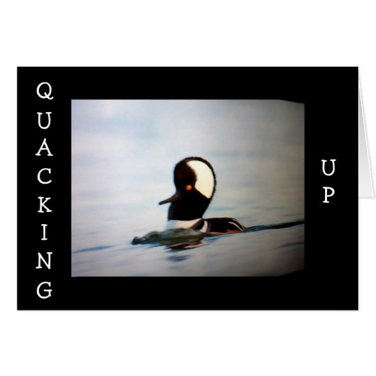 QUACKING UP BECAUSE YOU ARE "40" CARDS (Front Horizontal)
