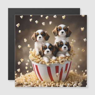 Quads Cavalier Spaniel Puppies In The Popcorn,