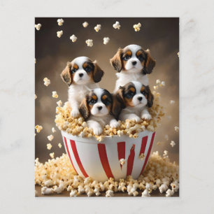 Quads Cavalier Spaniel Puppies In The Popcorn, Flyer