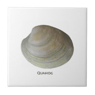Quahog Clam Ceramic Tile