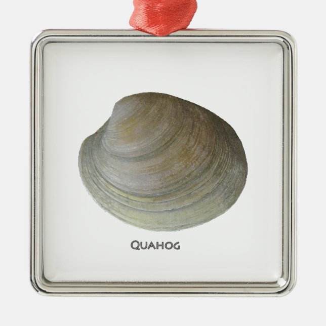 Quahog Clam Metal Ornament (Front)