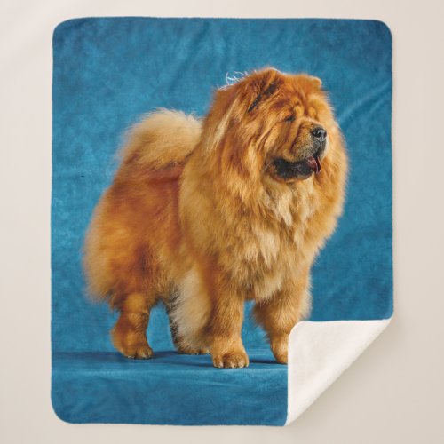 Quahrma Chow Sherpa Fleece Blanket