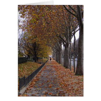 Quai d'Orsay Cards