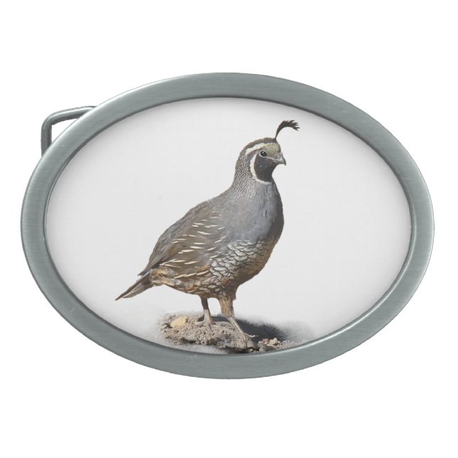 QUAIL 5 OVAL BELT BUCKLE (Front)