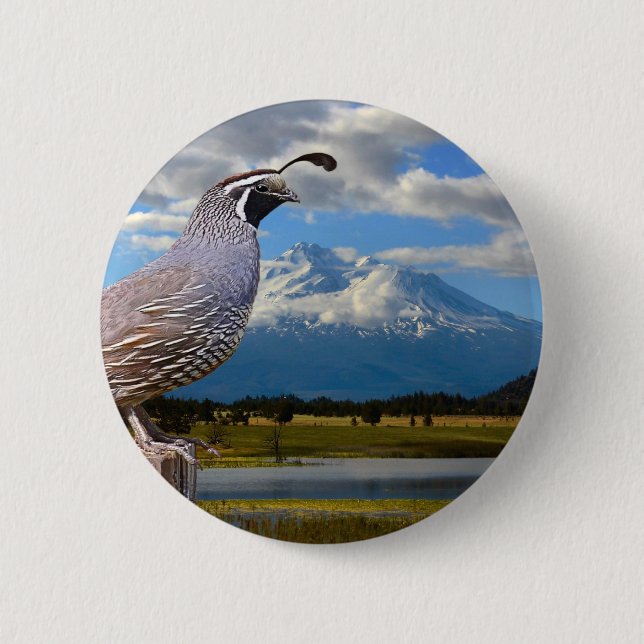 QUAIL AND MT SHASTA BUTTON (Front)