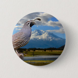 QUAIL AND MT SHASTA BUTTON